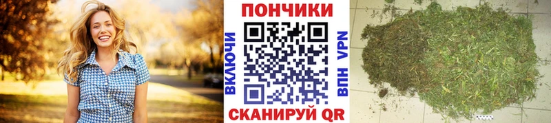 Купить наркоту Вилюйск Гашиш  Конопля  МЕФ 