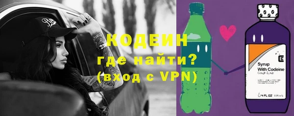 дживик Бородино