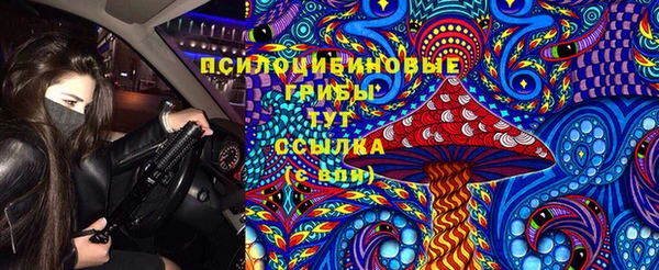 дживик Бородино