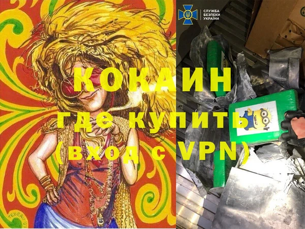 дживик Бородино