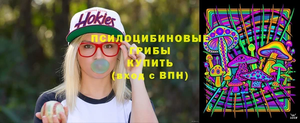 прущий лед Бронницы
