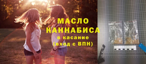 дживик Бородино