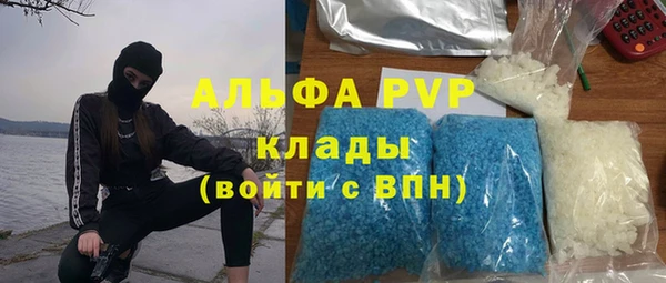 молекула духа Болотное