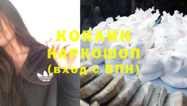 дживик Бородино