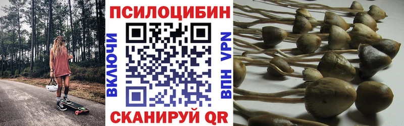 Псилоцибиновые грибы Psilocybine cubensis  купить наркотик  Вилюйск 